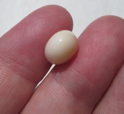 Cassis Pearl Flat Drop Shape 7+ carats