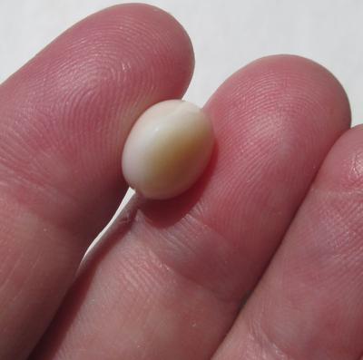 Cassis Pearl Flat Drop Shape 7+ carats