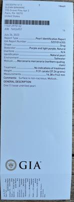 quahog pearl certificate