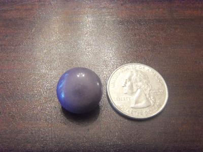 Chesapeake Bay Quahog clam pearls