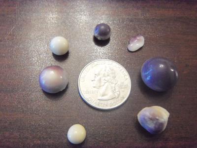 Chesapeake Bay Quahog clam pearls