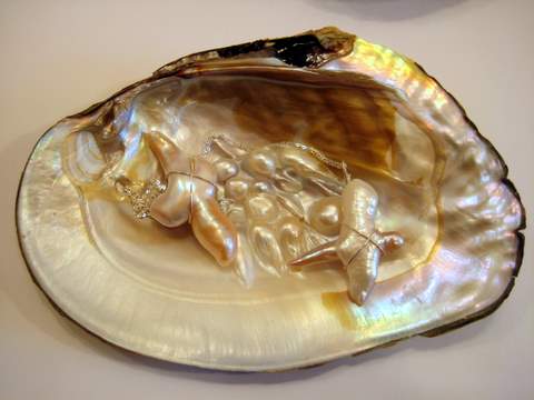 Chinese Freshwater Mussel & Dolphin & Seagull Chinese Freshwater Mussel & Dolphin & Seagull