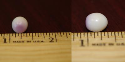 Quahog Pearl - Front and Side Views
