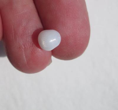 Clam Pearl 1+ carat with Full Flame for Sale