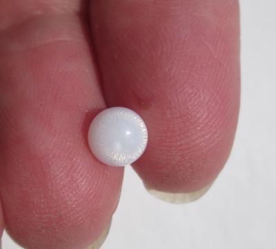 Clam Pearl 1+ carat with Full Flame for Sale