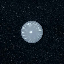 Clam Pearl  1.3 ct with Strong Flame