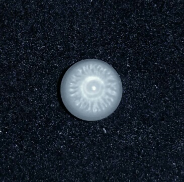 Clam Pearl  1.3 ct with Strong Flame