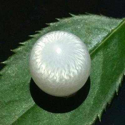 Clam Pearl 10 ct 12mm Oval with Flame