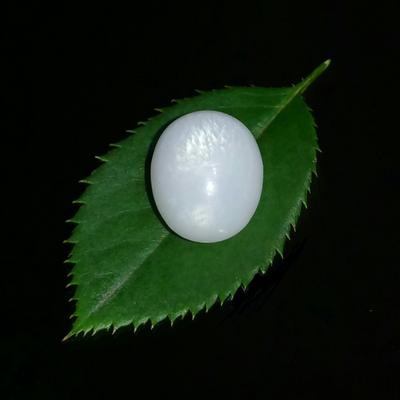 Clam Pearl 10 ct 12mm Oval with Flame