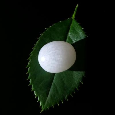 Clam Pearl 10 ct 12mm Oval with Flame