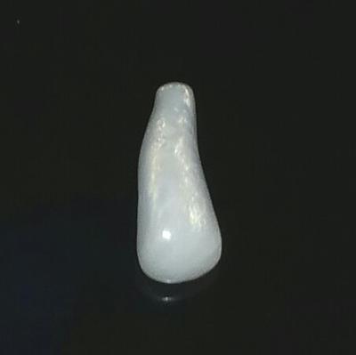 Clam Pearl 12.2 ct Elongated Baroque