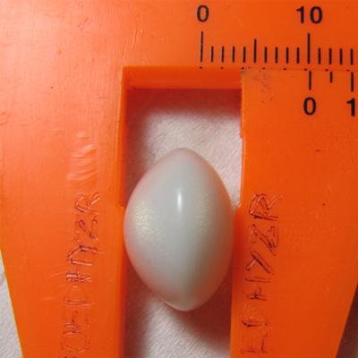Clam pearl 14.8cts 