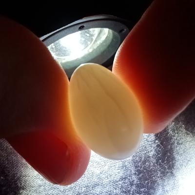 Clam Pearl 15+ ct Drop Shape 17mm