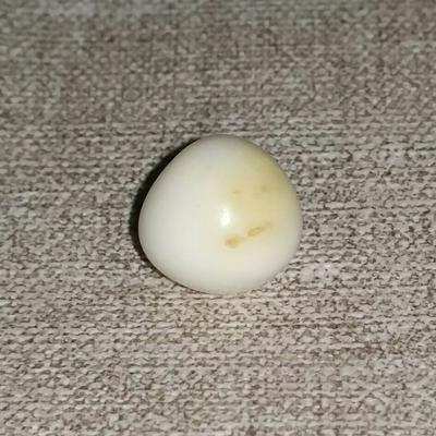 Clam Pearl 15.35 ct 11mm Baroque