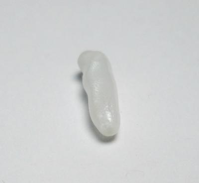 Clam Pearl 15+mm Elongated Shape