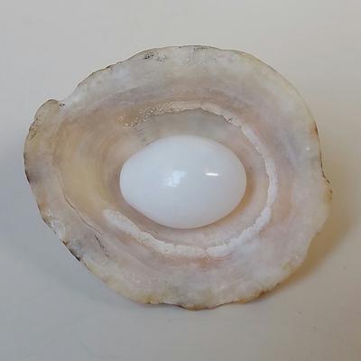 Clam Pearl 18.10 ct with Flame