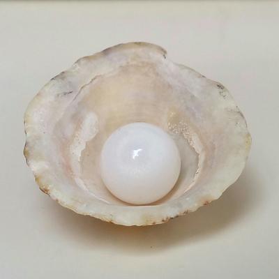 Clam Pearl 18.10 ct with Flame
