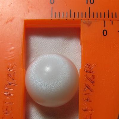 14 x 13mm Clam Pearl
