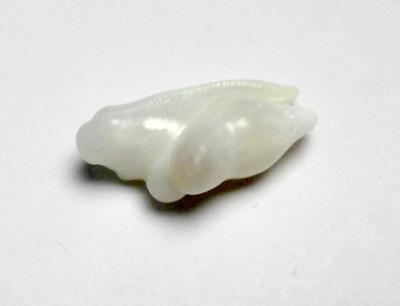 Clam Pearl 18mm Baroque with Full Flame