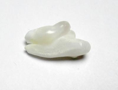 Clam Pearl 18mm Baroque with Full Flame