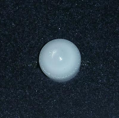 Clam Pearl 2.45 carats