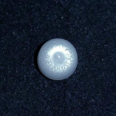 Clam Pearl 2.45 carats