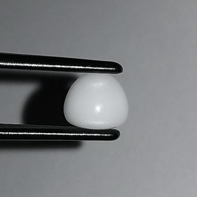 Clam Pearl 2.30 ct with Flame