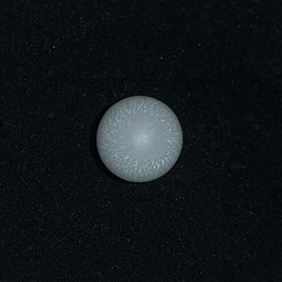 Clam Pearl 2+ carats with Flame