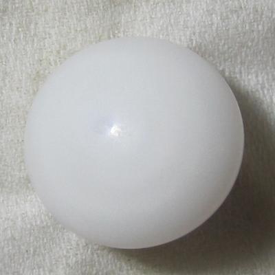 Clam pearl 21 carats