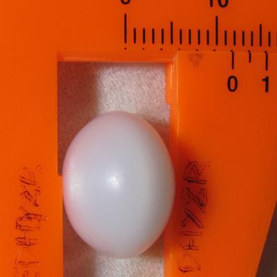 Clam pearl 21 carats