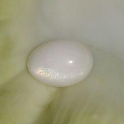 Clam Pearl 21.3 ct