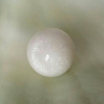 Clam Pearl 21.3 ct