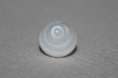 3.35 ct clam pearl