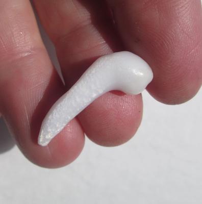 Clam Pearl 26mm Pipe Shape 8+ carats