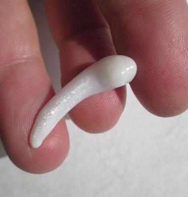 Clam Pearl 26mm Pipe Shape 8+ carats