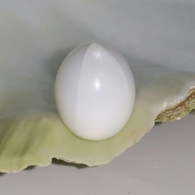 Clam Pearl 27.55 ct
