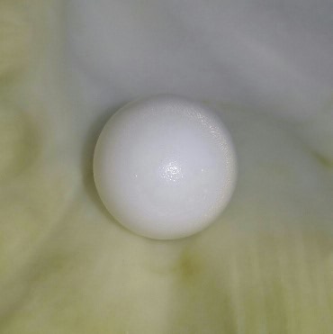 Clam Pearl 27.55 ct