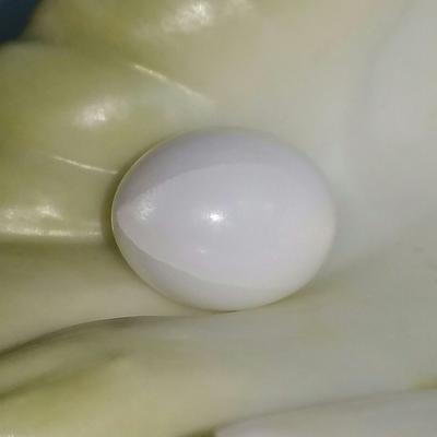 Clam Pearl 27.55 ct