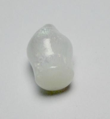 Clam Pearl 3+ carats 10+mm Full Flame