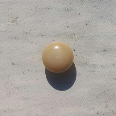 Clam Pearl 3.7 ct