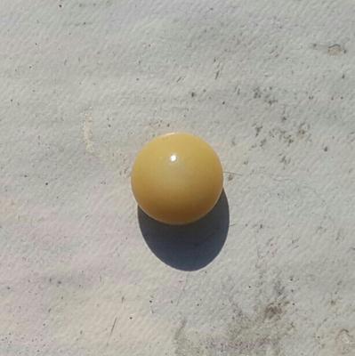 Clam Pearl 3.7 ct