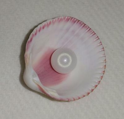 Clam pearl 3.45 ct with flame