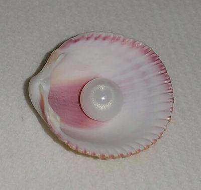 Clam pearl 3.45 ct with flame