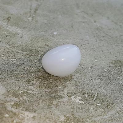 Clam Pearl 4+ ct Button Shape