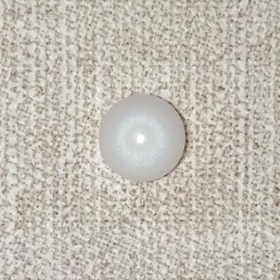 Clam Pearl 4+ ct Disk Shape 8mm