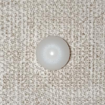 Clam Pearl 4+ ct Disk Shape 8mm