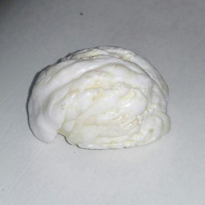 Clam Pearl 490 ct Unique 53mm Collector's Pearl