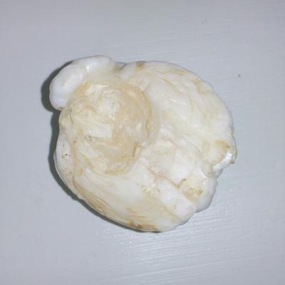 Clam Pearl 490 ct Unique 53mm Collector's Pearl