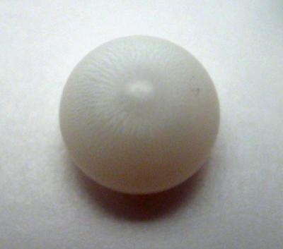4.1 carat clam pearl