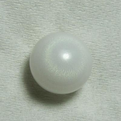 5.3 cts Clam Pearl